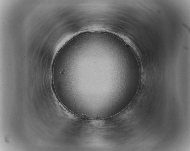 X0000102831191200808251127