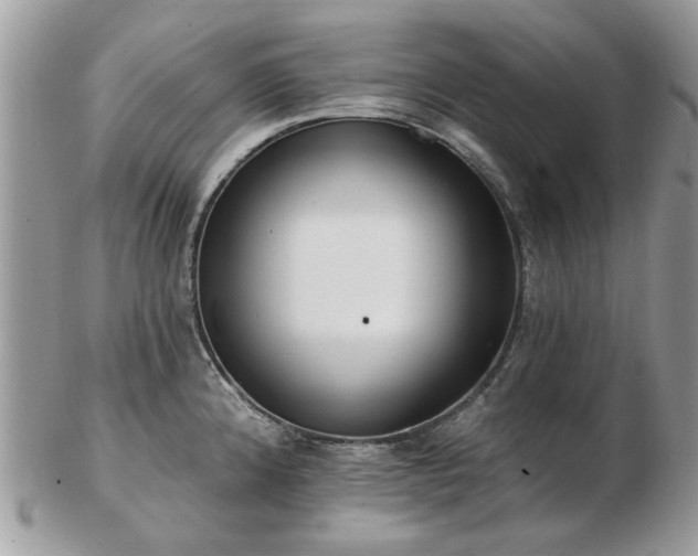 X0000102831192200808251127