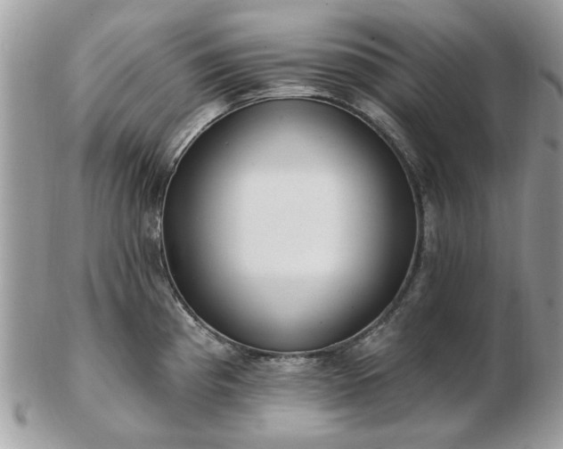 X0000102831193200808251127