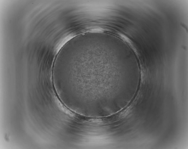 X0000102831194200808251127