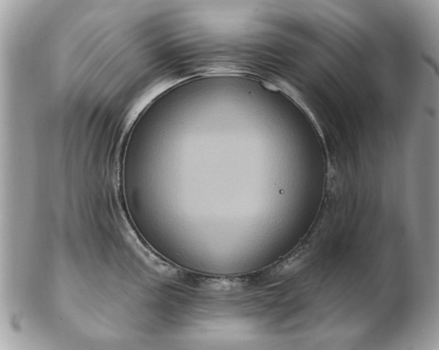 X0000102831195200808251127