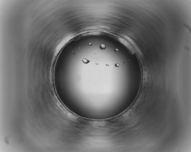 X0000102831196200808251127