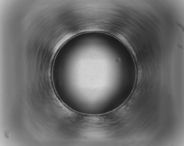 X0000102831197200808251127