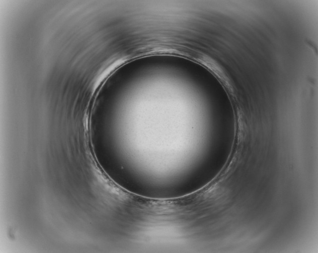 X0000102831198200808251126