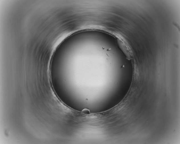 X0000102831199200808251126