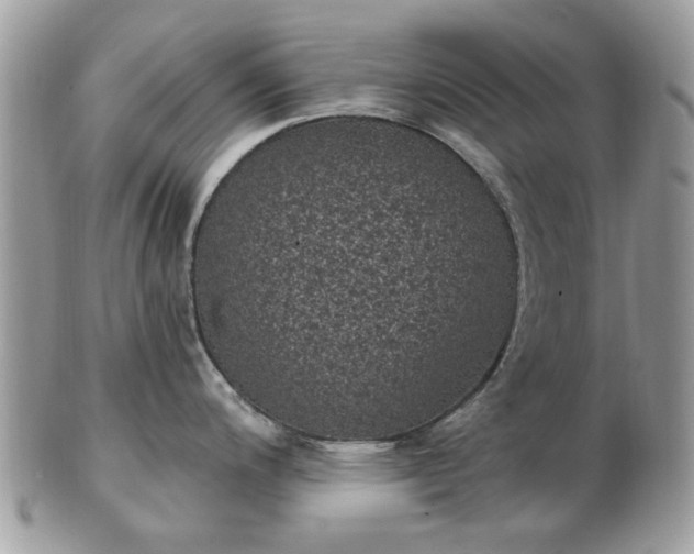 X0000102831200200808251126