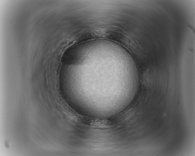 X0000102831201200808251126