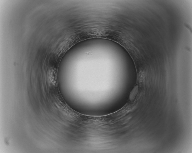 X0000102831202200808251126