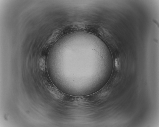 X0000102831203200808251126