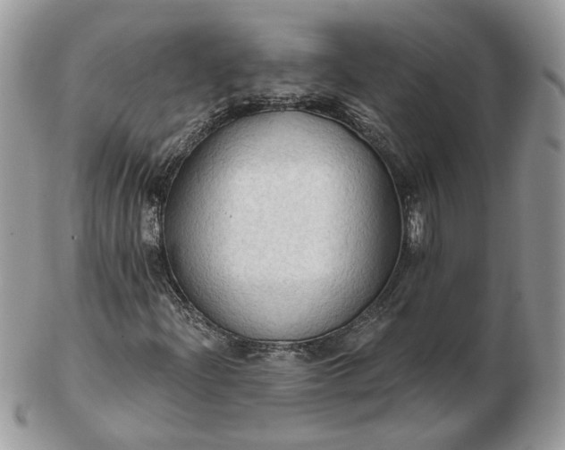 X0000102831204200808251126