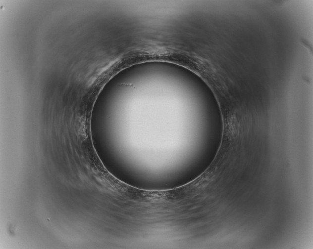 X0000102831205200808251126