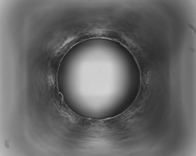 X0000102831206200808251126