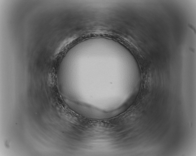 X0000102831207200808251126