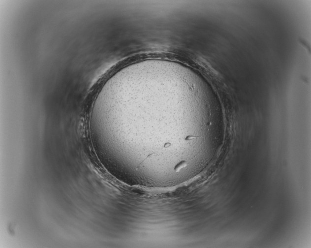 X0000102831208200808251126