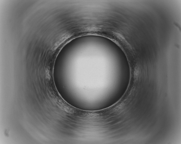 X0000102831209200808251126