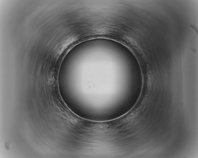 X0000102831210200808251126