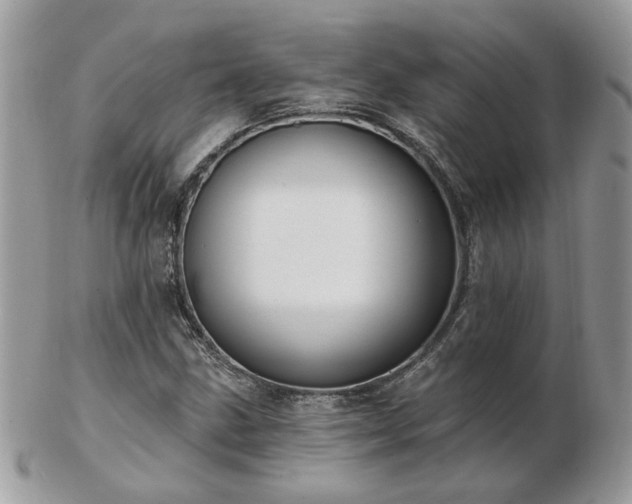 X0000102831211200808251126