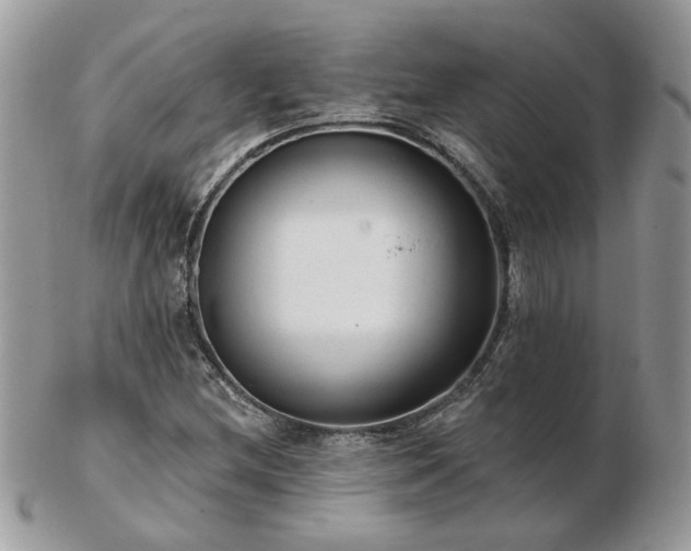 X0000102831212200808251126