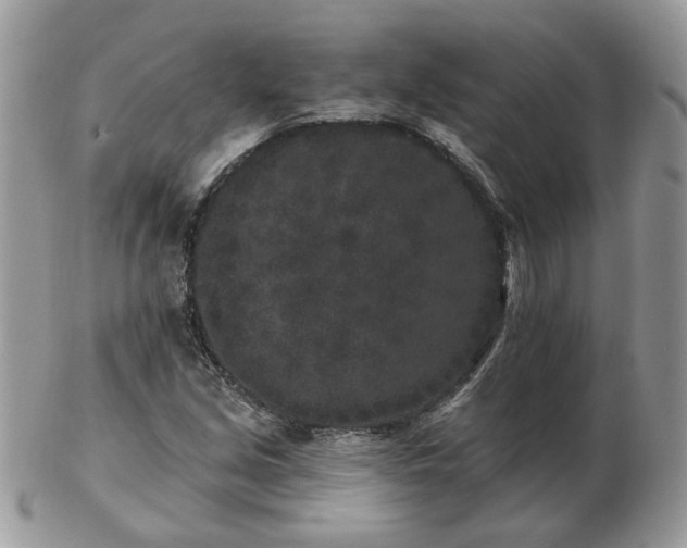 X0000102831213200808251126