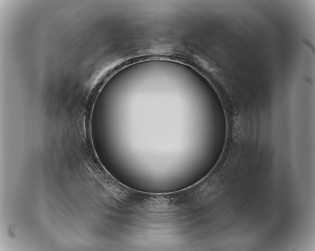 X0000102831214200808251126