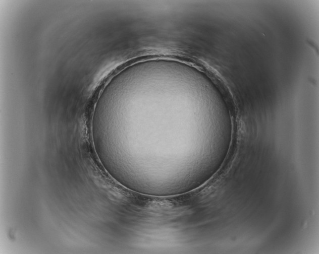 X0000102831215200808251126