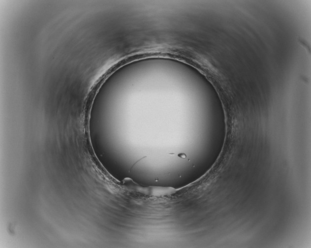 X0000102831216200808251126