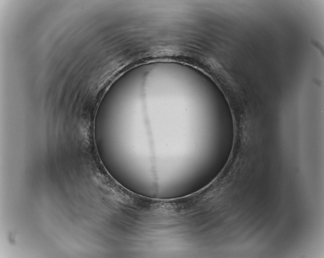 X0000102831217200808251126