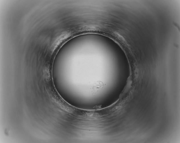 X0000102831218200808251126