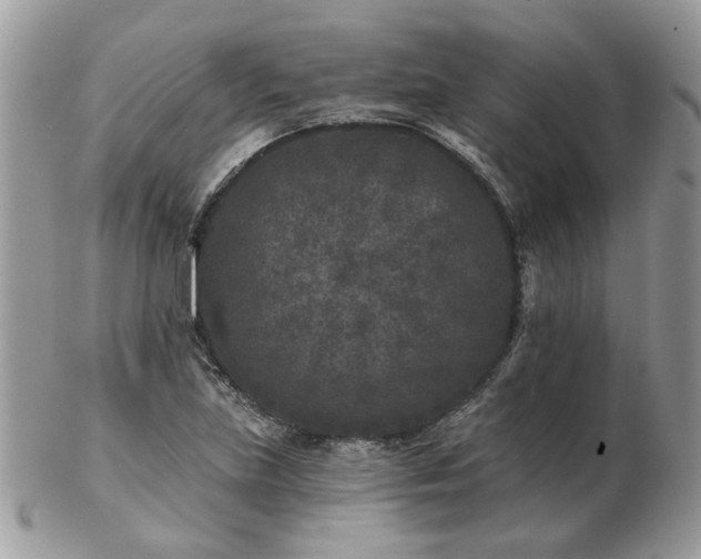 X0000102831219200808251126