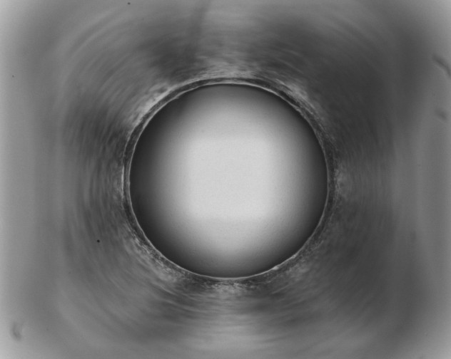 X0000102831220200808251126