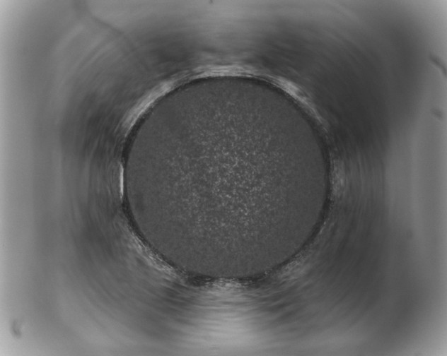 X0000102831221200808251126