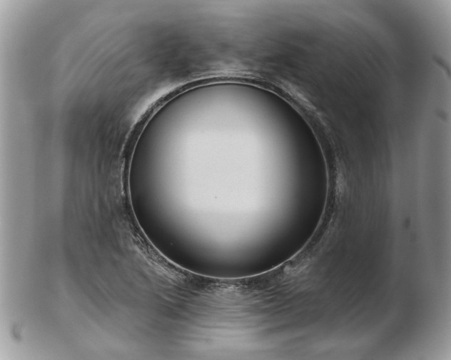 X0000102831222200808251126