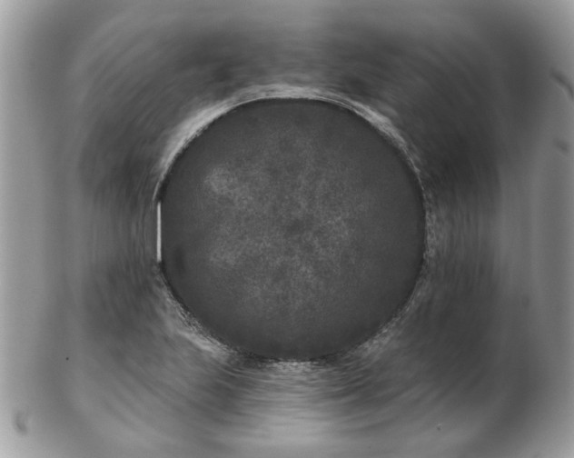 X0000102831223200808251126