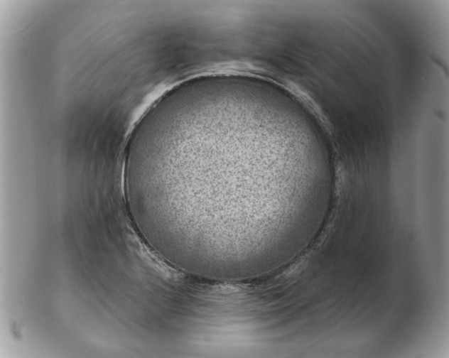 X0000102831224200808251126