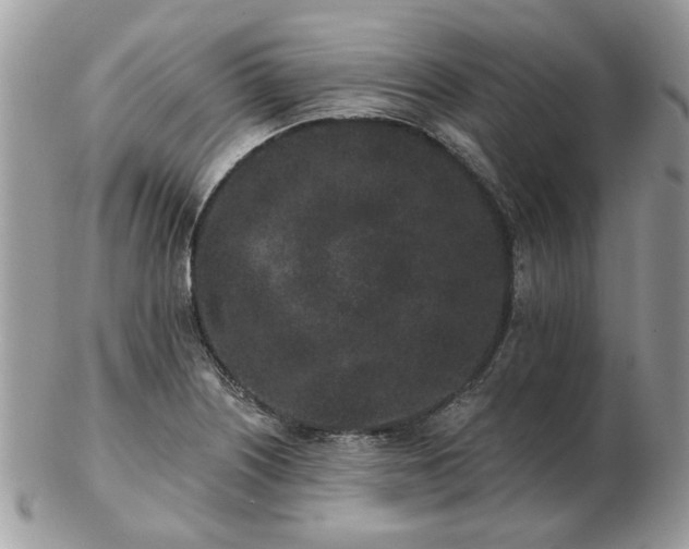 X0000102831226200808251126