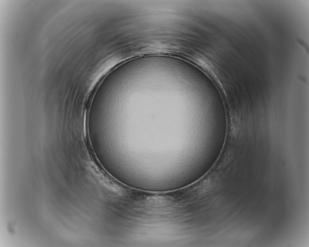 X0000102831227200808251126