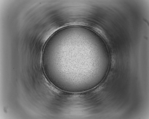 X0000102831228200808251126