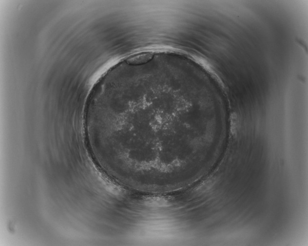 X0000102831229200808251126