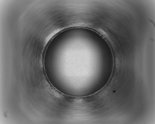 X0000102831230200808251126