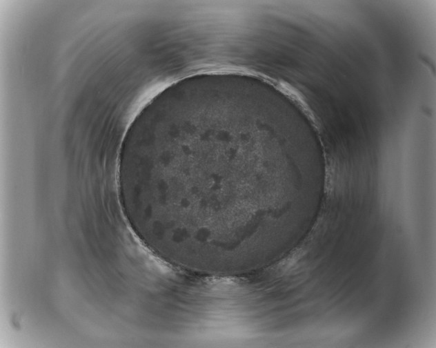 X0000102831231200808251126