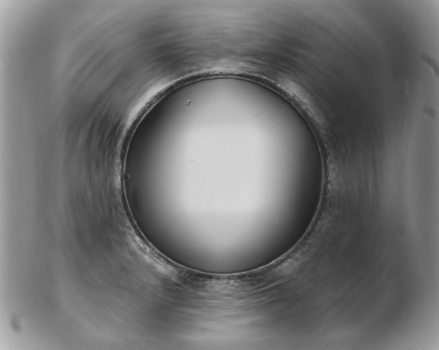 X0000102831232200808251126