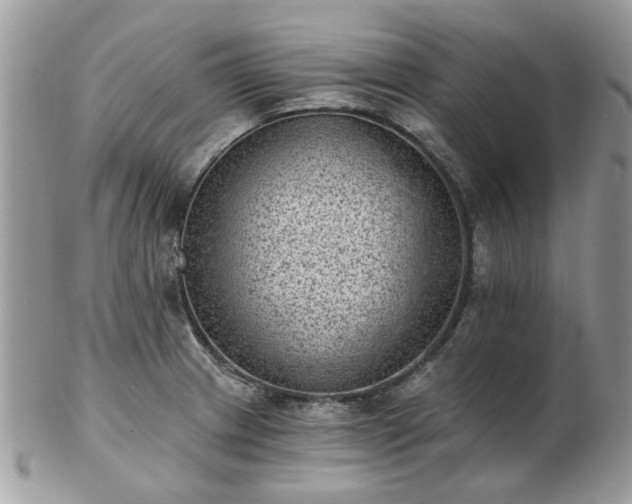 X0000102831233200808251126