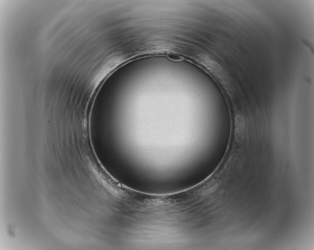 X0000102831234200808251126