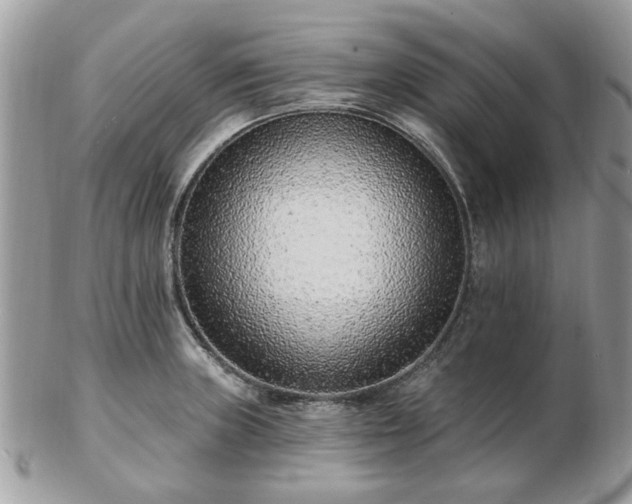 X0000102831235200808251126