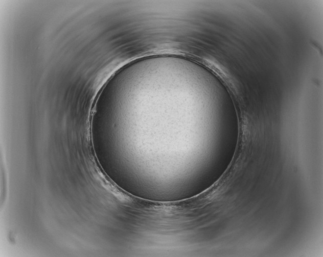 X0000102831236200808251126