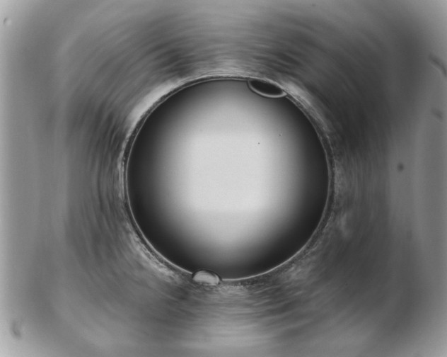 X0000102831238200808251126