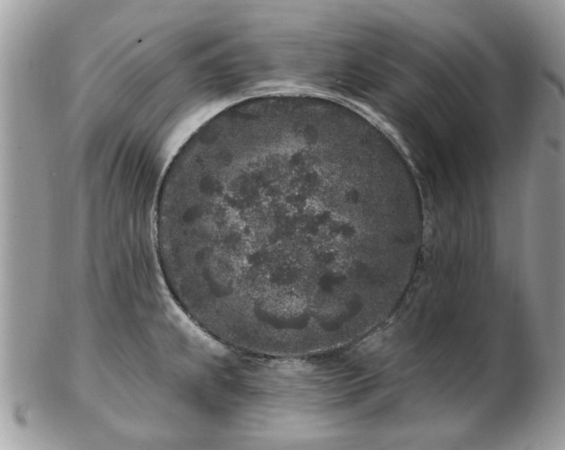 X0000102831239200808251126