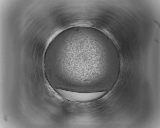 X0000102831240200808251126