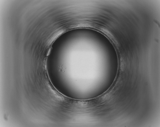 X0000102831241200808251126