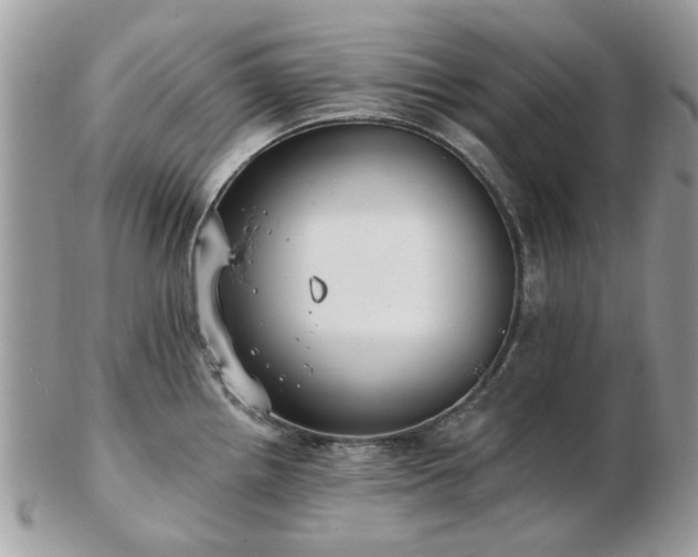 X0000102831242200808251126